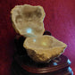 Natural White Crystal Cave Treasure Plate (1 Solid Wood Seat Free)