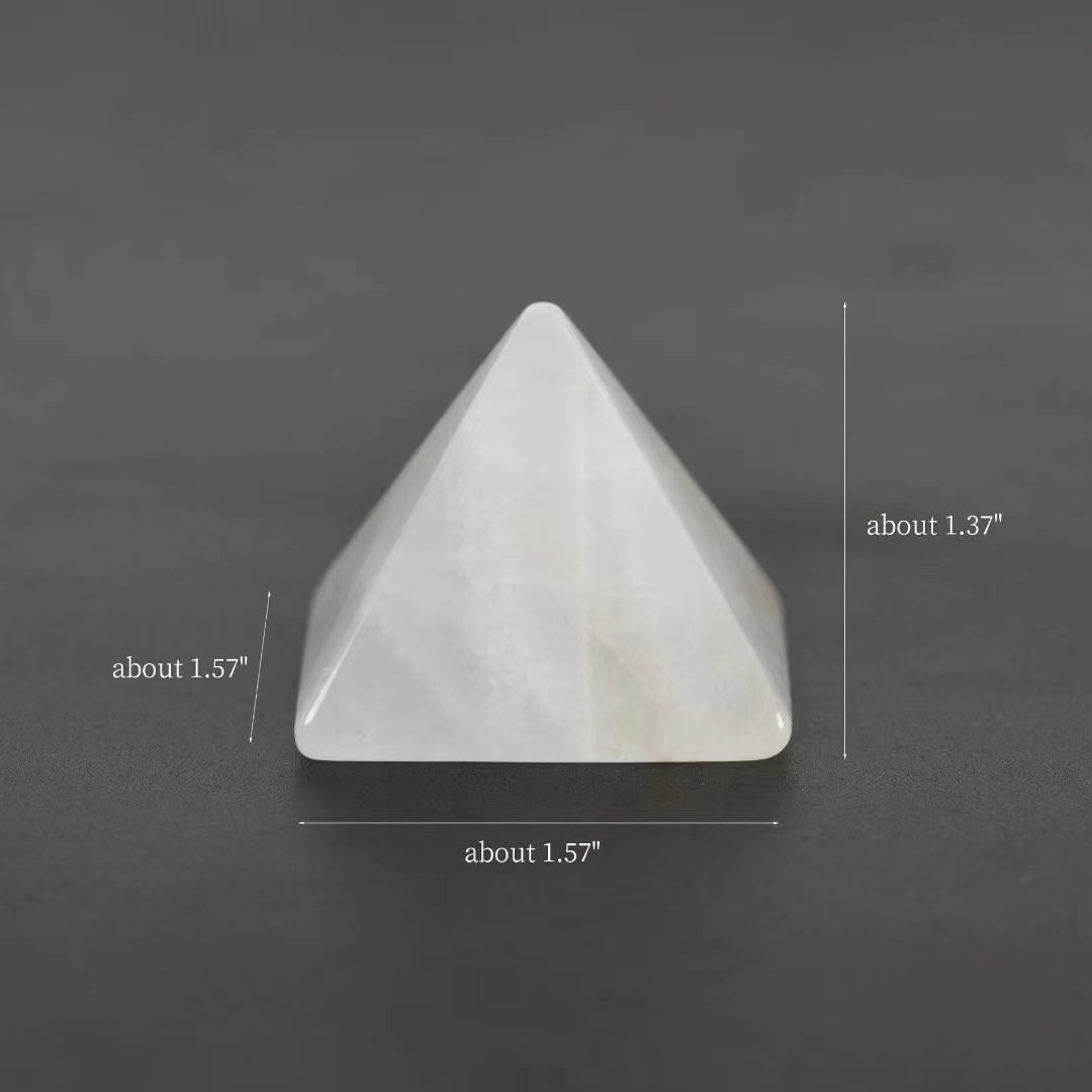 triangular vertebrae – 能量堂